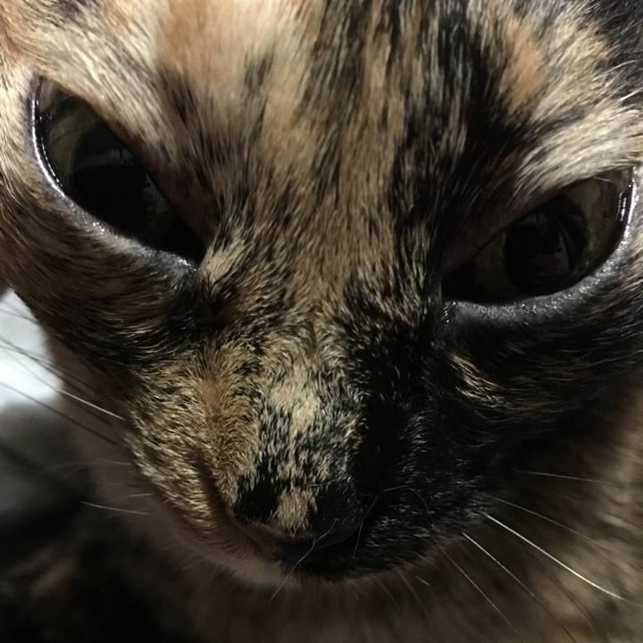 A2a49948 3bca 490b 9bc8 b32a020fabaa