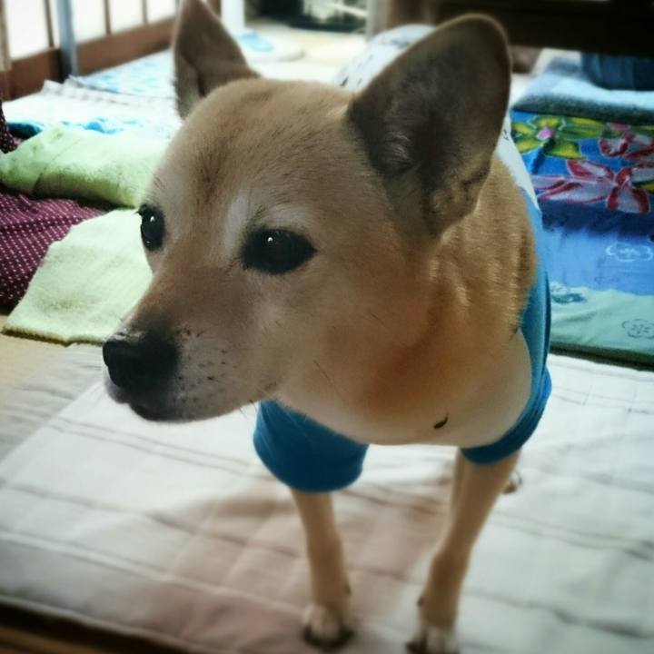 A2a4e5eb 5b41 45af 9dad 220c88b96b04