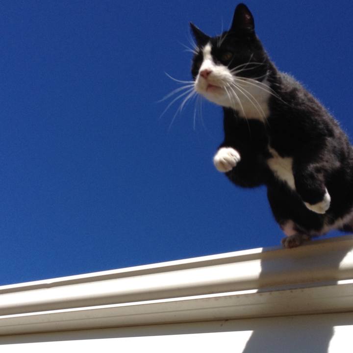 A2a57bcc aff4 47aa a948 00f79a530d28