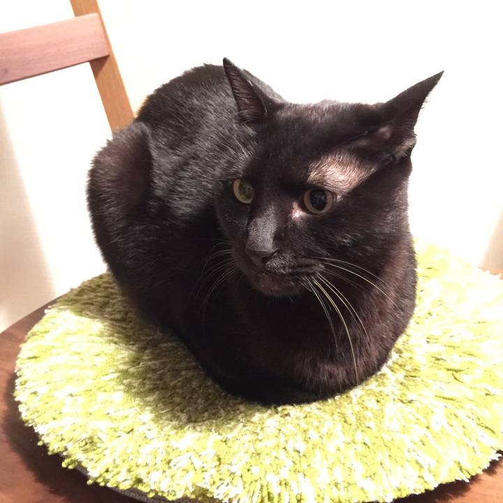 A2a5eebf 8ed5 46bf 8367 0fe771920ac6