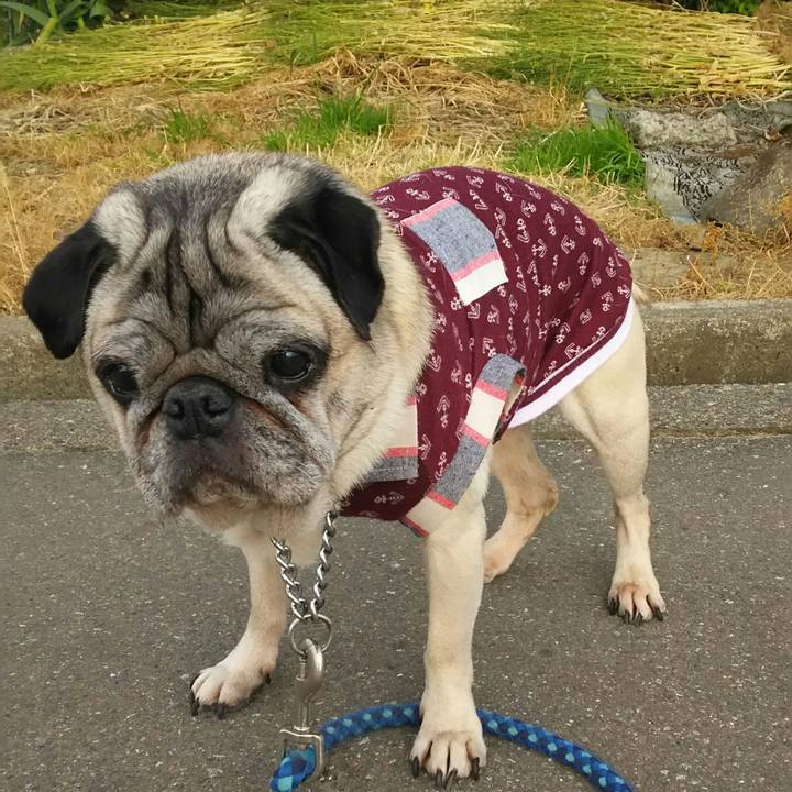 A2a5f42d 6760 4a8b a033 438c0881529a