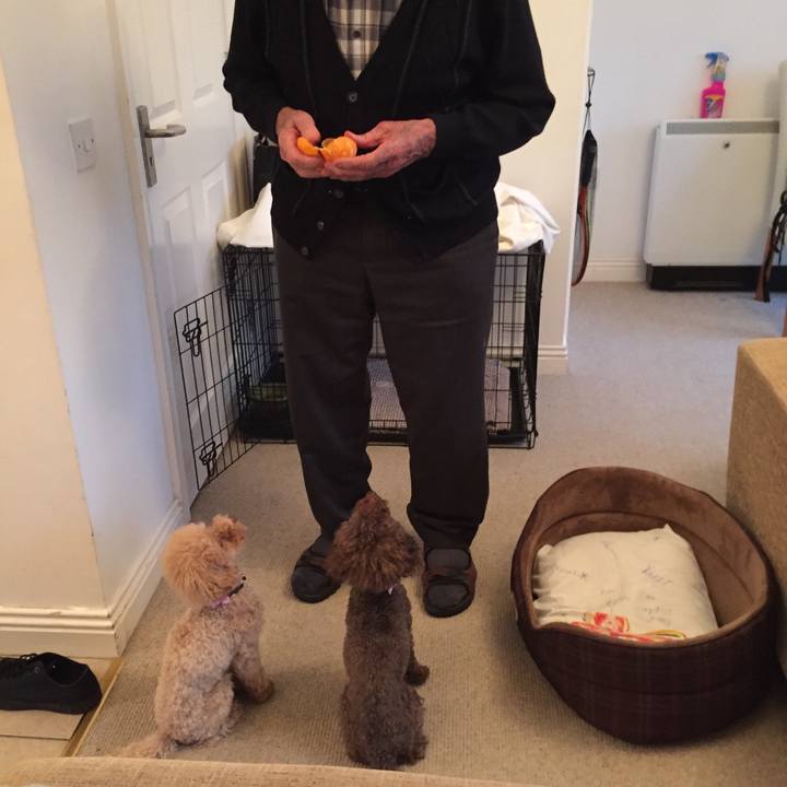 A2a64f3a a79b 44ca 9436 05725e65b421