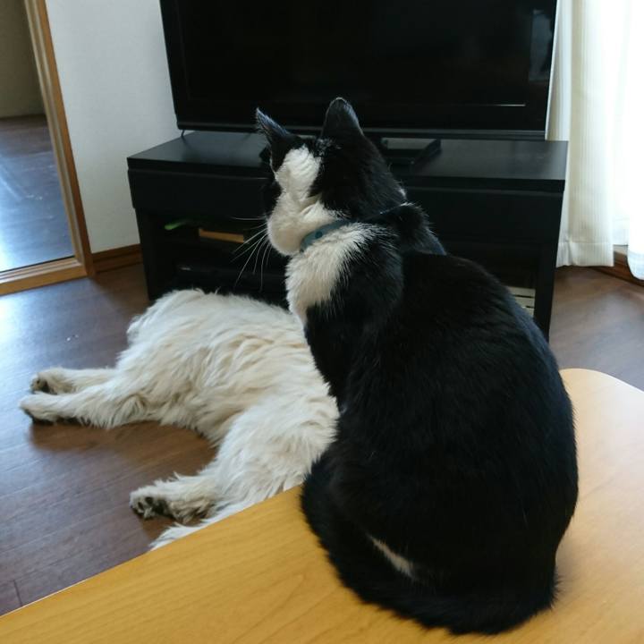 A2a70927 c3a1 4798 8c07 e00a3220eb69