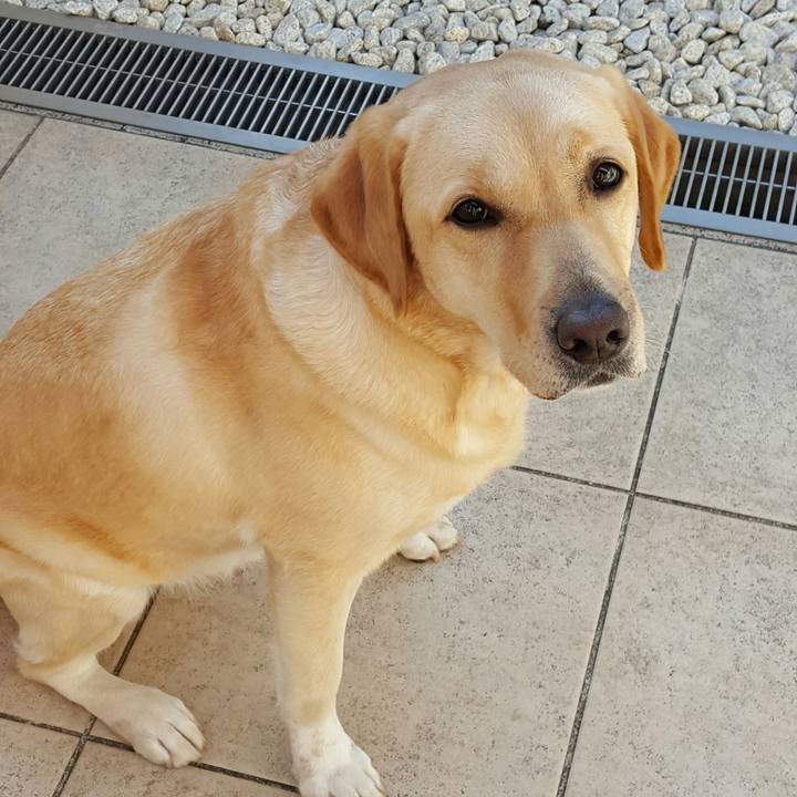 A2a77c0c fa5e 4b1c b9d4 c067b2eaa033