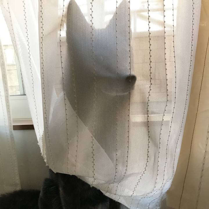 A2a783c3 0892 46a6 86ee 7dc3f70dd8c6