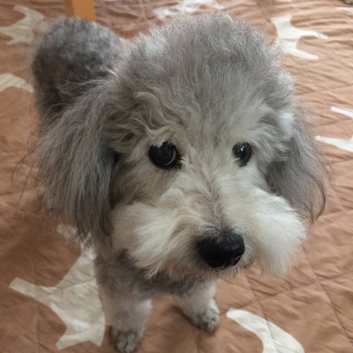 A2a792ff 1550 4f3c 9431 4bc9a47dd537