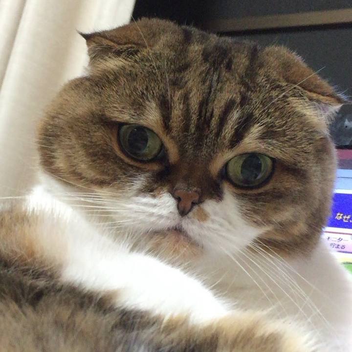 A2a7eae0 1c02 4578 b7a7 36cf371757b5