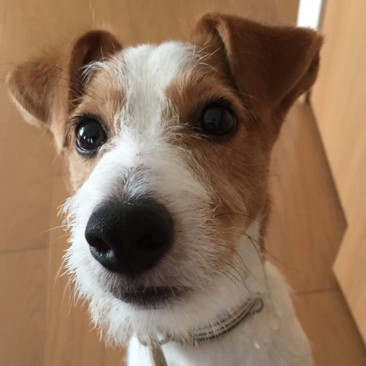 A2a82360 d5dc 4e10 9b8f cc416fc3ca95