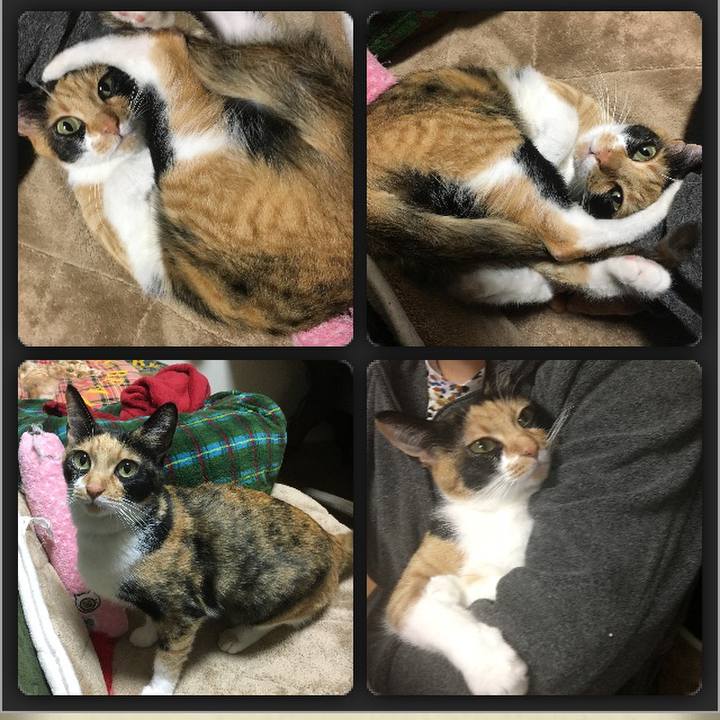 A2a8c228 06be 456c 9a1a a2fcc18a8733