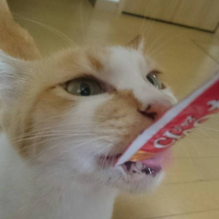 A2a8ca59 2870 4ab5 bc1e 2a8d2f9aff78