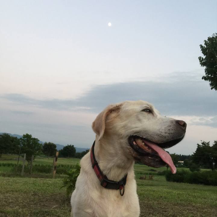 A2a9120b 54ad 4987 8bae 2a481b1d91d6