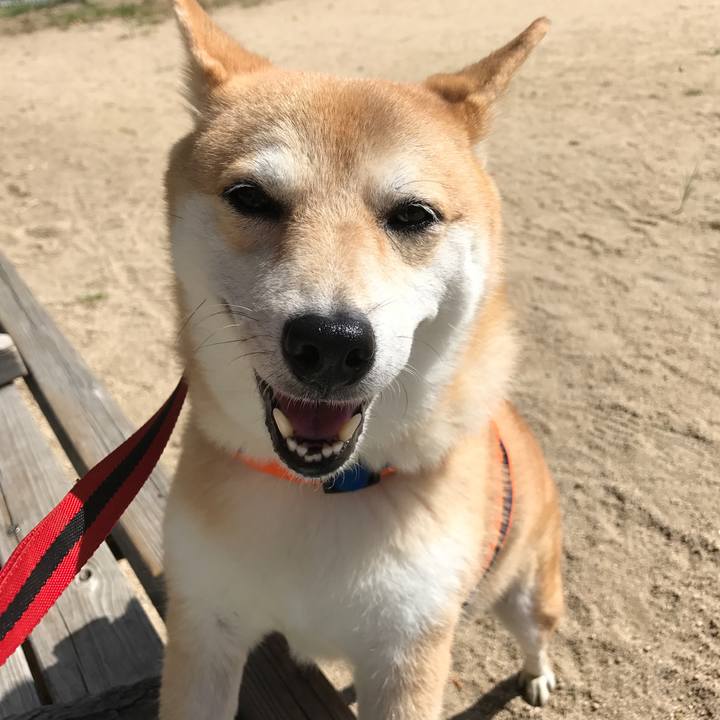 A2a93a00 2953 409a b498 b52ff0eb9e12