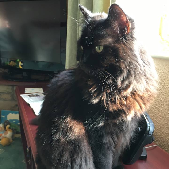 A2a9e8cf aec1 40e3 a9c5 6d5f5e16020d