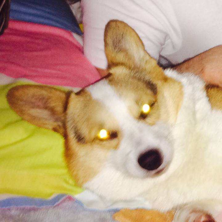 A2a9ff23 1fb9 4006 9aa3 21577a080623