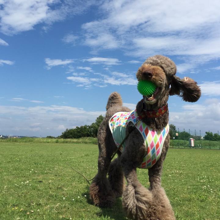 A2aa34b1 bf88 445d b7ab 78a4feacc943