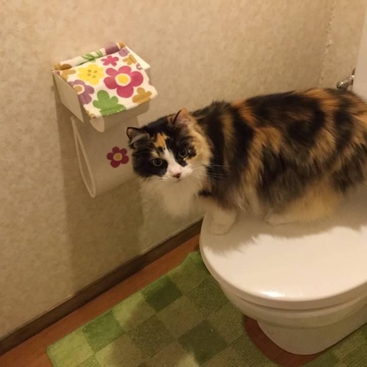 A2aa915d 6418 40f6 8af4 c0a1e41f2efc