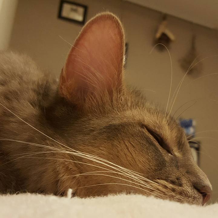 A2aae908 1586 430c 8e34 8bba7175e4f5