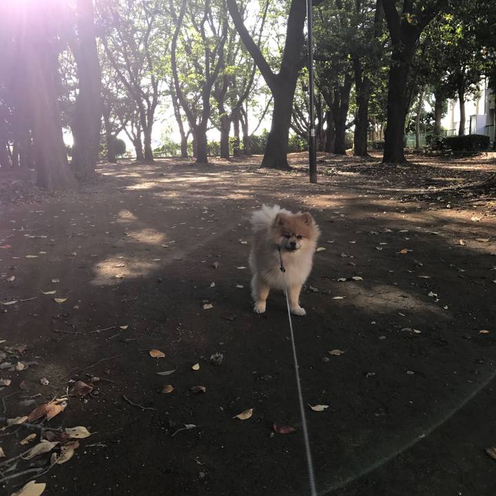 A2ab2019 eaf2 48d5 94bf cd3a4e881f91