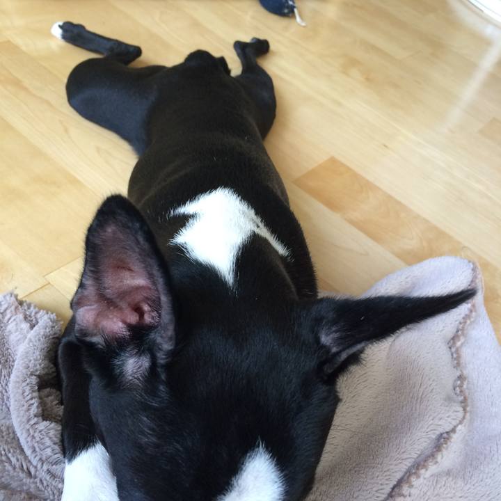 A2ab3555 8763 4260 b982 a784302e1336