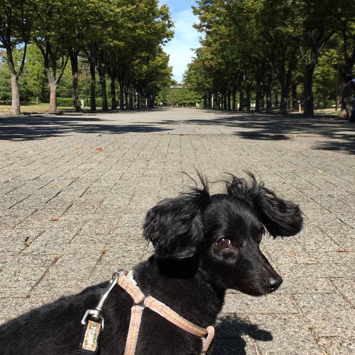 A2abd590 b897 464e 834a d1075cb7d518