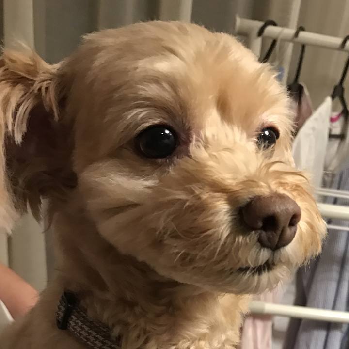 A2abe3dd 5453 45b9 9ef3 3f7240b5bbf5