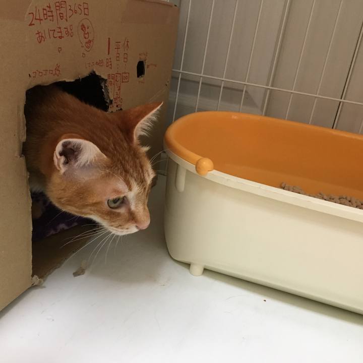 A2ac0139 5481 448c 9dfa f4f6c949d711