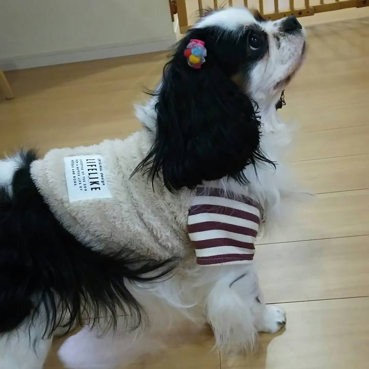 A2ac3c7f b222 4311 8db5 596c86e21482