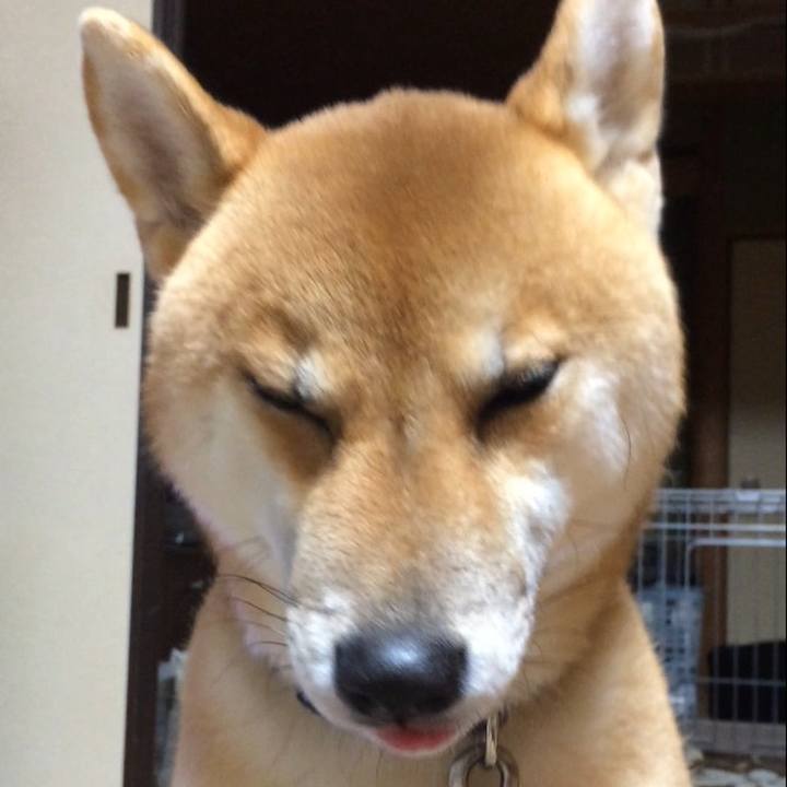 A2ac9492 b394 43ad 8668 79854e2aa982