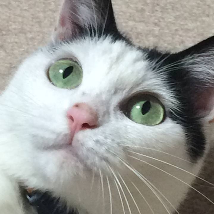 A2acfd8c 32ee 450c a65e 7f972ebb1375