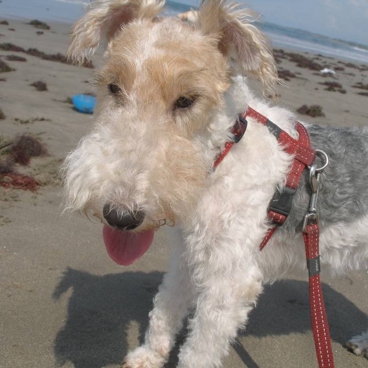 A2ad30f1 dcda 4301 a6c3 383e7da4c062