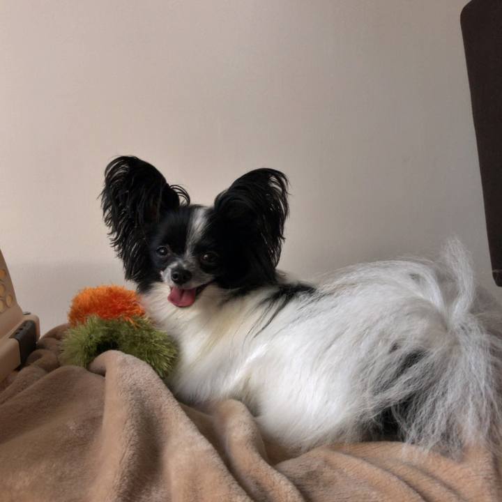 A2ad4f85 16e1 4709 a6ae d0c6d51184d8