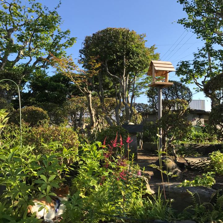 A2ad678a 0ed6 4697 a55f 13be63d32ab3