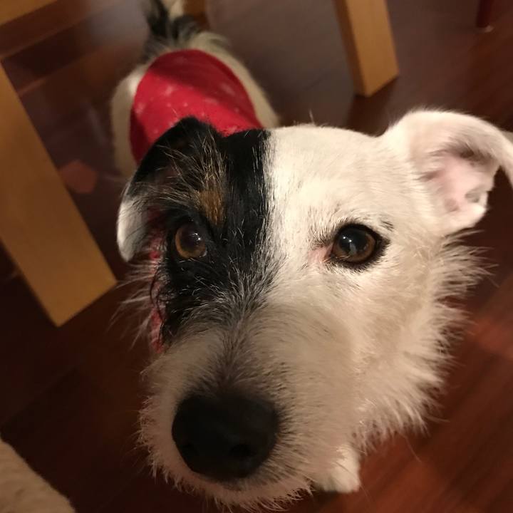 A2ad90ca 9287 4094 85c5 177f869b9e21