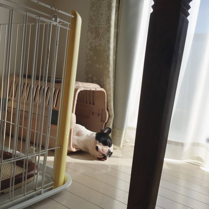 A2ad98fd fe86 4ad2 867b bbf28f2af4bc