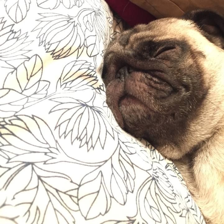 A2adbe28 ed8c 4f85 9af5 f0dbfa9325e7