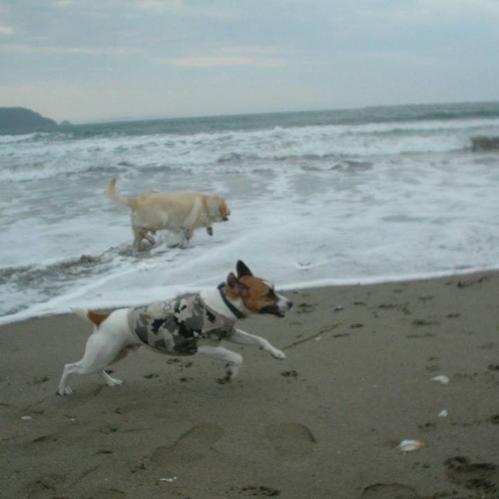 A2ae06cd 3027 4180 86b3 6a3fa8265ffb