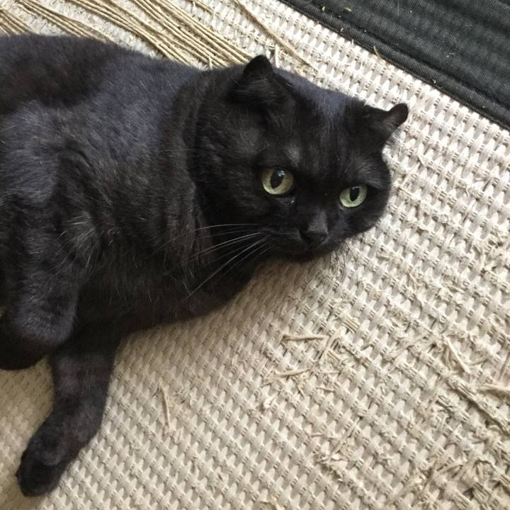 A2aeceb2 9d1d 4d81 bab5 79c1a1a976da