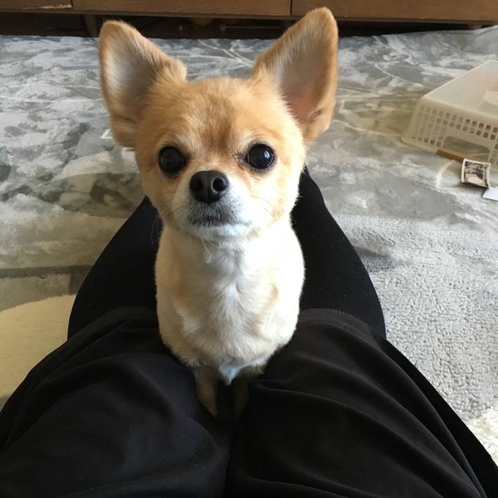 A2af43a8 eb0d 49d3 93af 88d297497c36