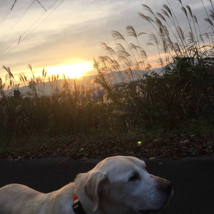 A2af589b 6777 42bc 8b64 4fc523fd6323