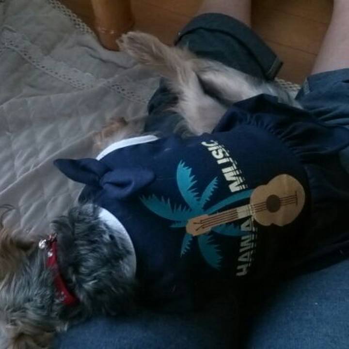 A2b0382a d72b 43df 8c45 9c7dc9a2329f