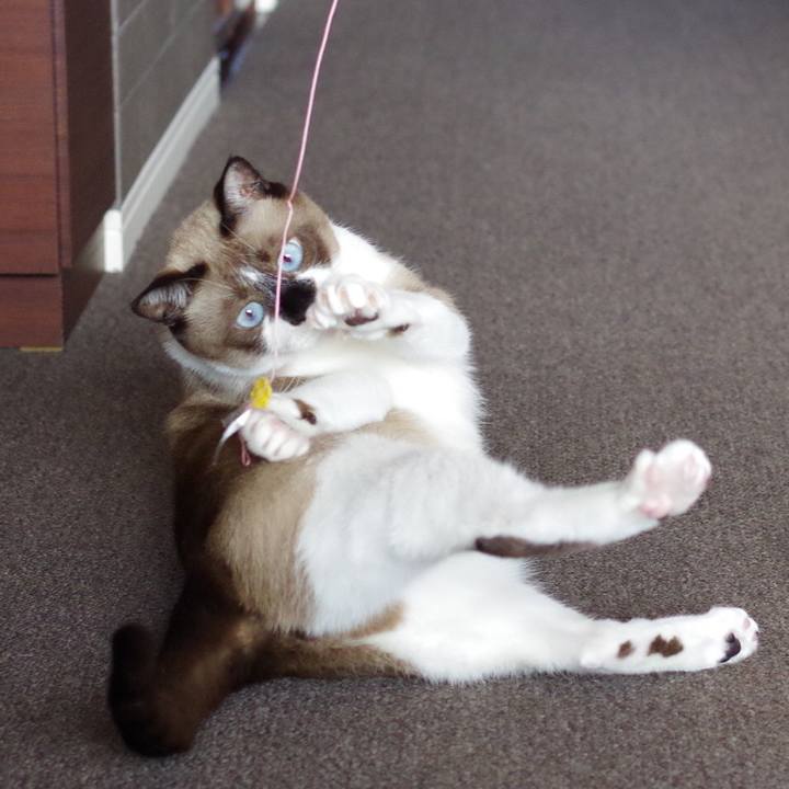 A2b0f112 49f2 4c3c 83cf fc213734b987