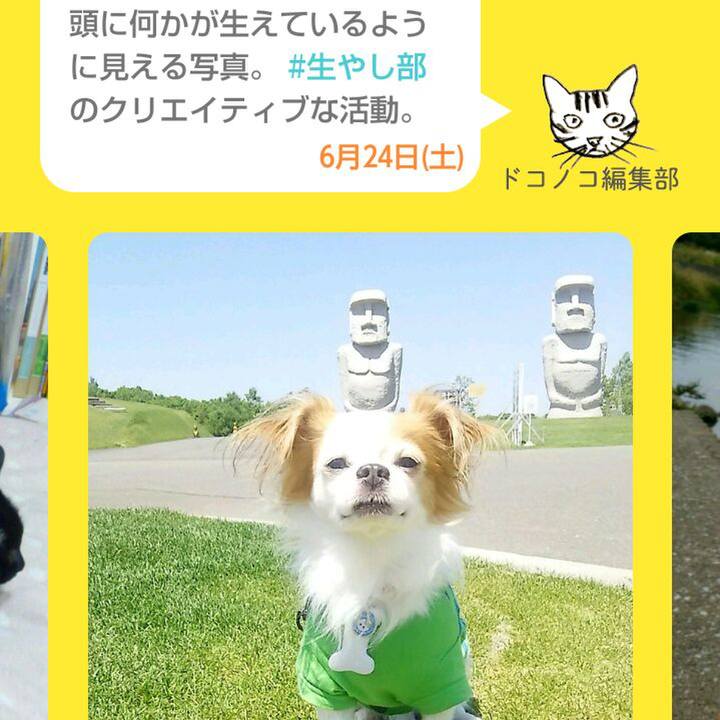 A2b0ffbc e2e5 4383 80e5 935cc139e740