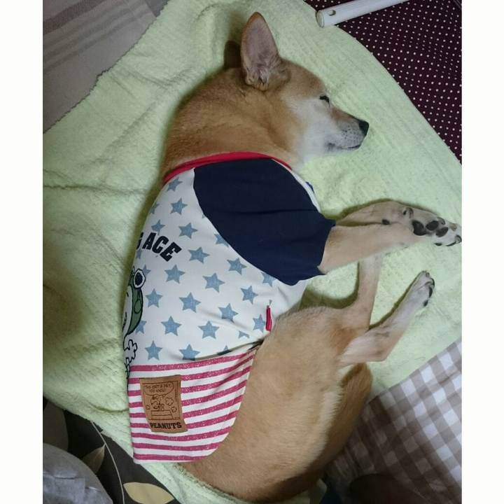 A2b20ac2 e5f7 41d2 97b8 7b3c817eaff8