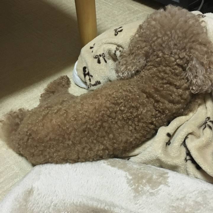 A2b25d7b 80c4 4298 bbca 806fdc663c89