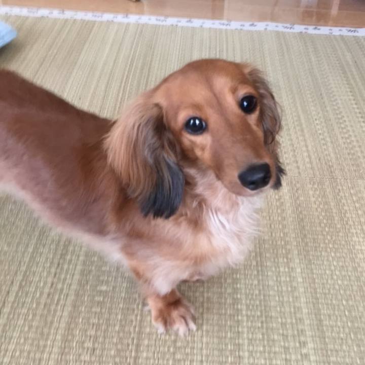 A2b275b5 21a2 4b73 9d6a 7106b38b09ea