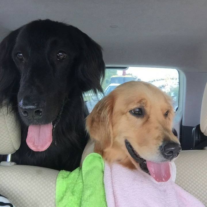 A2b2ef58 1bb6 4122 8429 c174a8b67d97