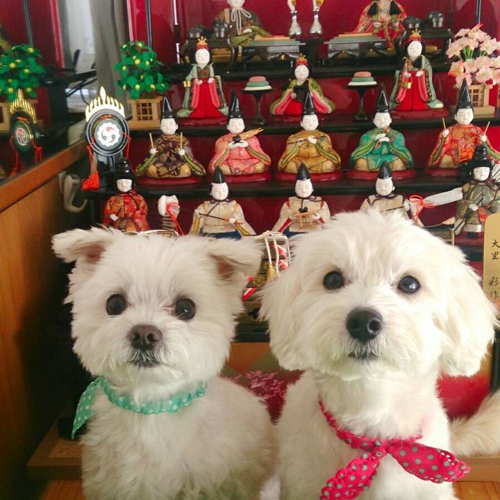 A2b34ac2 36a8 4b41 92f4 ac2ea75cbdf0