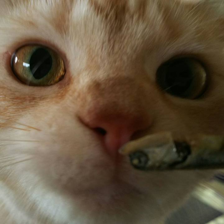 A2b3729b 921e 4b70 865d 83721417f514