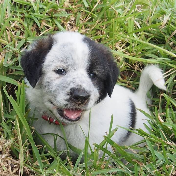 A2b37bca a002 4e2e b839 1501e745ebb4