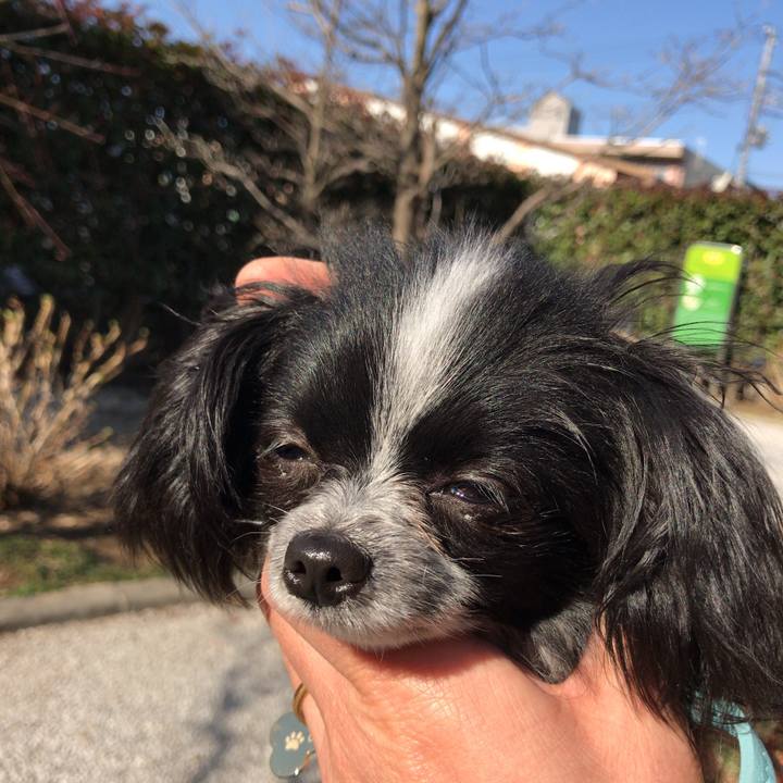 A2b45f89 e284 4b24 95dd 55b3baf554f5